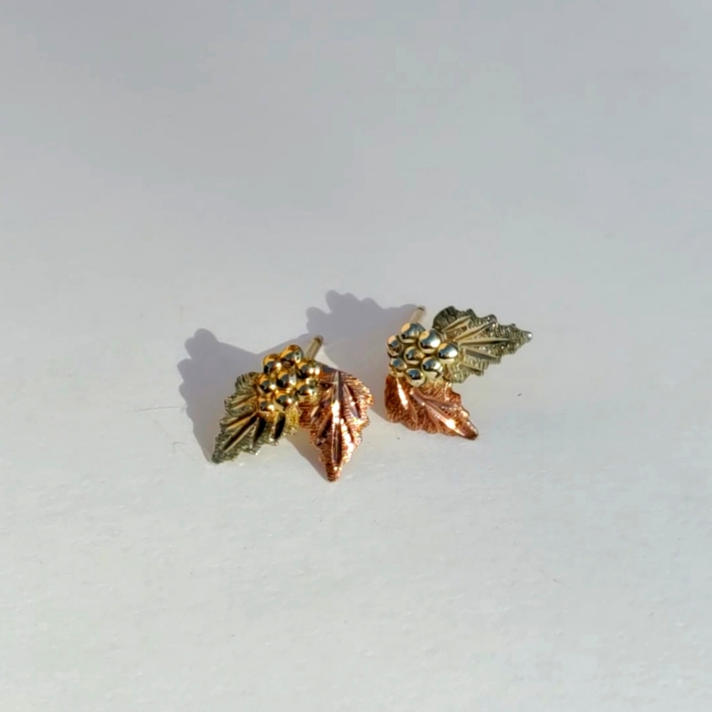 10k Gold Earrings